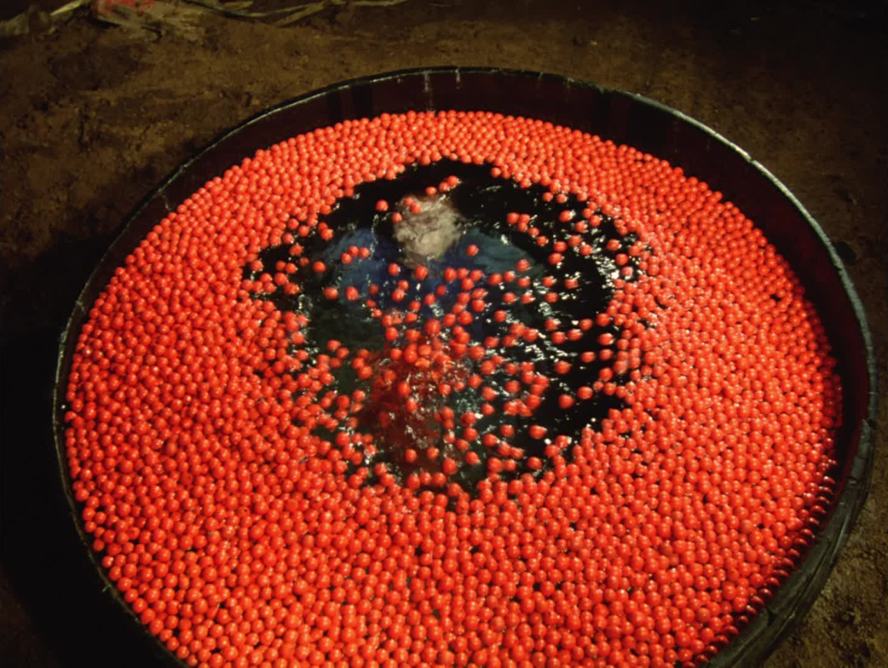 ozu-teapot:  Kagerô-za | Seijun Suzuki | 1981 Michiyo Ohkusu 