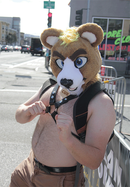 Fantastic Fur