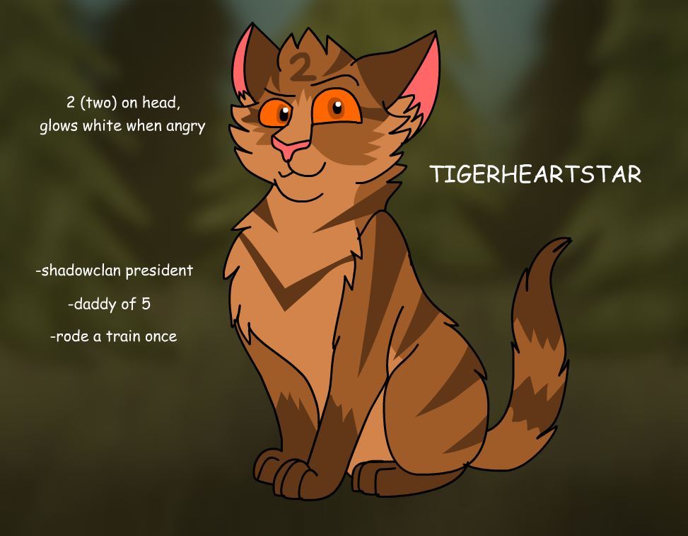 2 of my warrior cats cos (RainSpirit & DawnBird/Star) Art by me :  r/WarriorCats