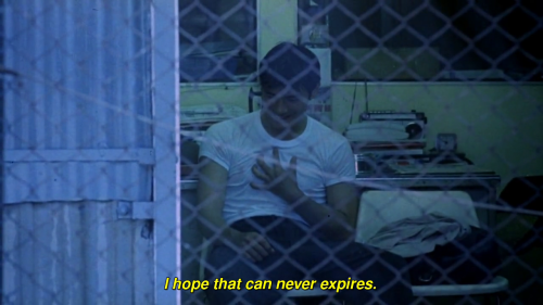 gyllenhaals:Chungking Express (1994) Dir. Wong Kar Wai