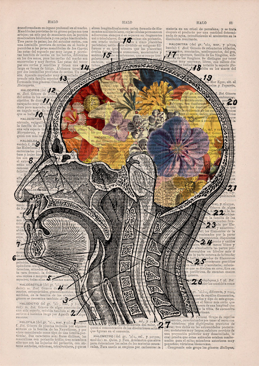 boredpanda:    Floral Anatomical Illustrations Breathe New Life Into Old Discarded