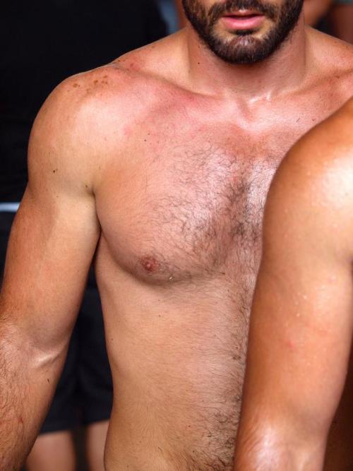 tokillapromqueen: cherryrotten: Turkish Oil Wrestling Ah yes, my favorite sport of all time.