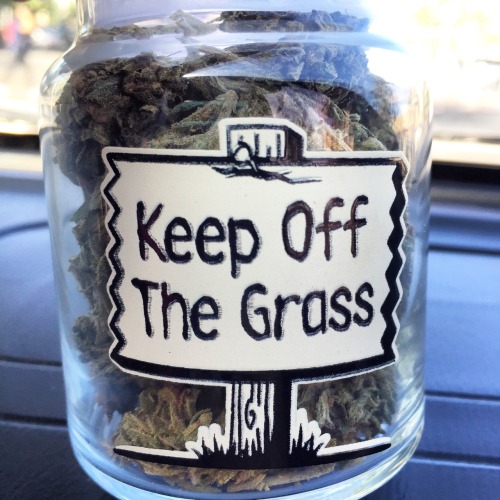 New stash jar 👌