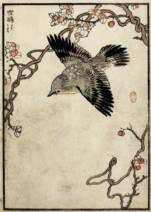 Kōno Bairei (1844-1895), &ldquo;Bairei hyakucho gafu&rdquo;. Vol. 3, 1881Source