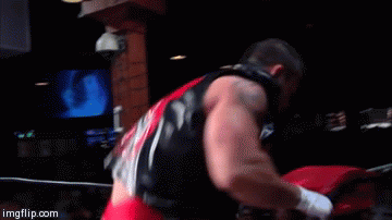 stephluvzrasslin:  Davey Richards  Davey is fucking that turnbuckle up!