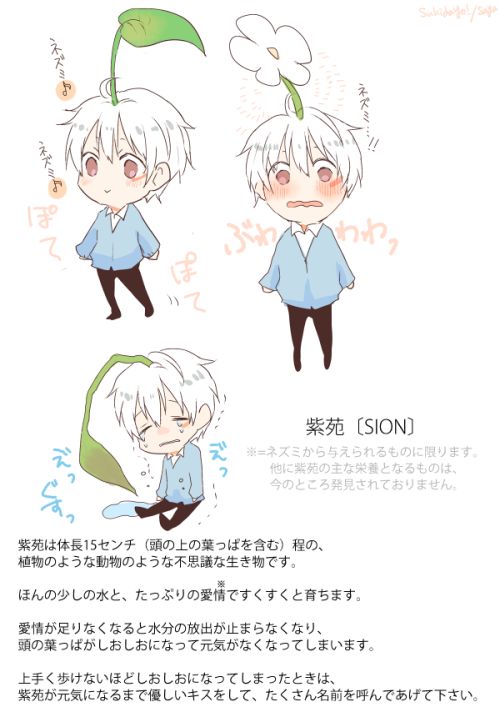 saya149cm:  SIOMIN