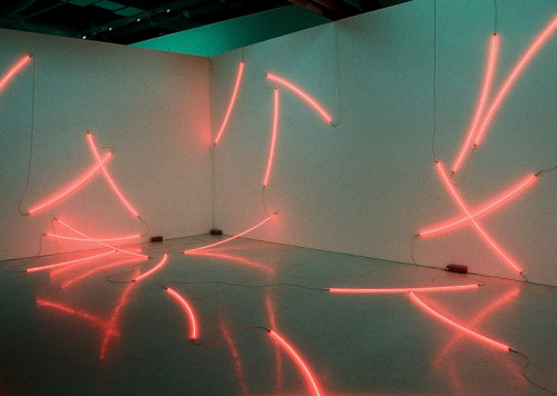 vuls:  François Morellet 