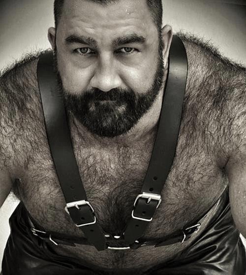perfect4thunder:  Gorgeous hairy daddy bear. 