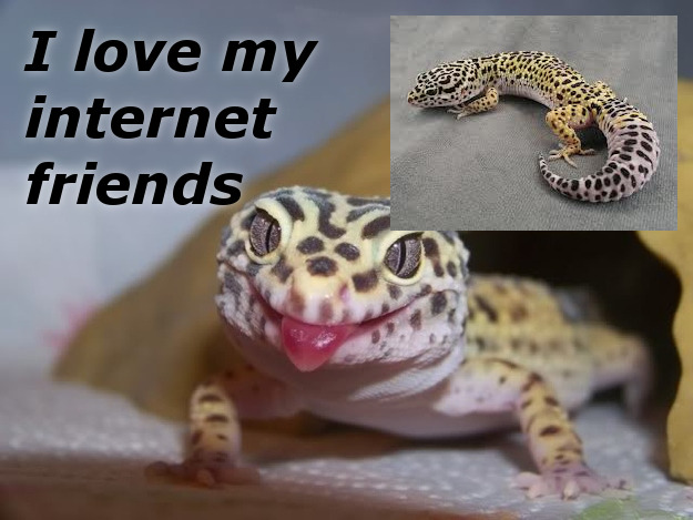 king internet drama