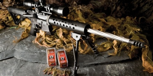 gunrunnerhell:  AA 17 HMR An AR-15 variant made by Alexander Arms, it’s chambered in a caliber that isn’t too common, .17 HMR. Due to the small size of the ammo a proprietary 10 round magazine made by Alexander Arms is required. .17 HMR is a very