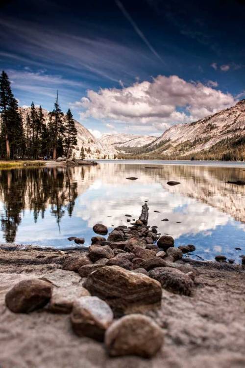travelgurus:Calm Earth by David Duignan at Yosemite National Park, USAFollow @travelgurus for the be
