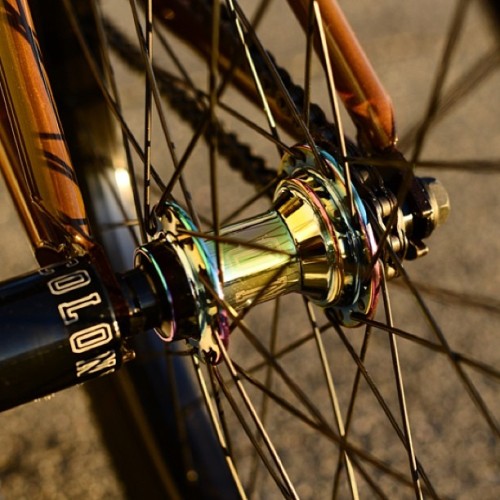 colonybmxoverflow: Wasp hub and Anyway plastic pegs on our USA distro main man @treanor71 ‘s bike #b