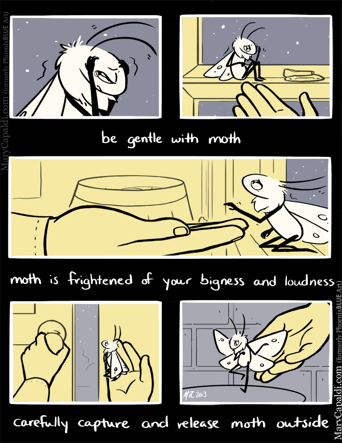 legendofrii:  marycapaldi:  marycapaldi:  Be Kind to Moth A short comic based on