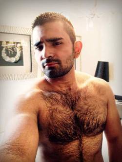 BEAR_HAIRY