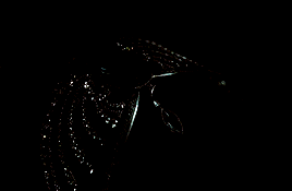 d84771c6c290c02cdeea21ae6630e8f4d2d64f43.gif