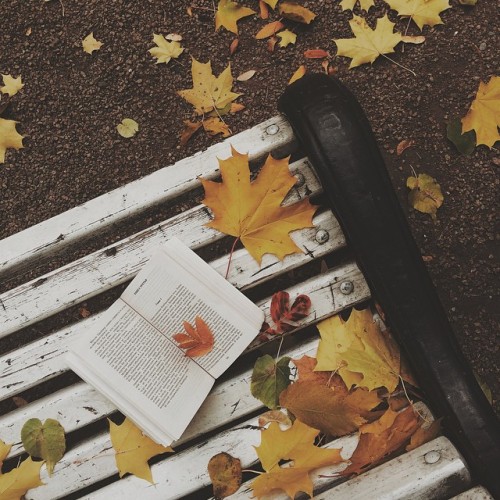 melodyandviolence:by sswanssia