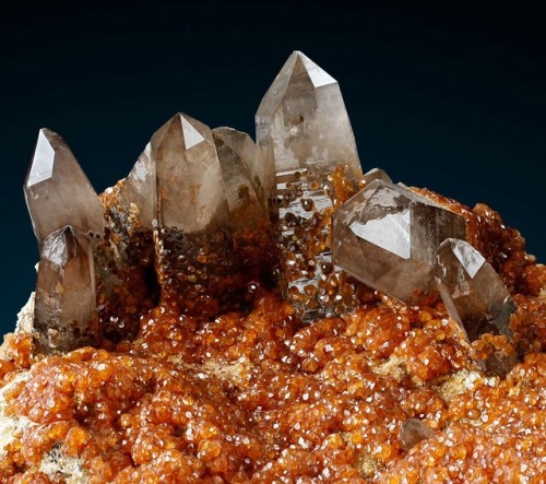 Spessartine and Smoky Quartz - Wushan Mine, Tongbei, Yunxiao County, Fujian Province, China