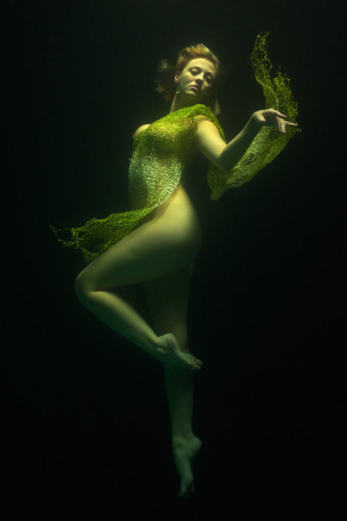 Tonia F.