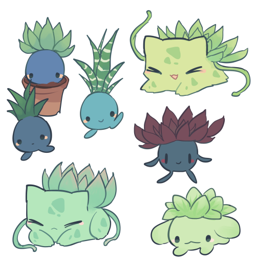 charamells:Succulents