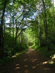 VTT - Au-dessus Combe Noisot