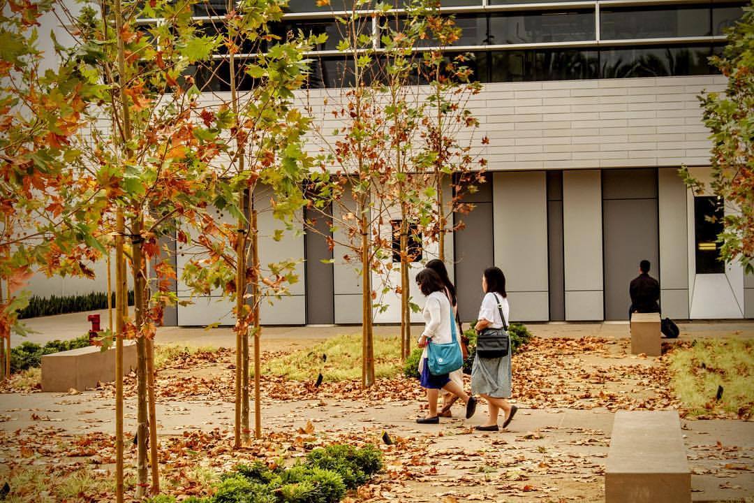 Santa Monica College