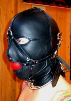 gaggedslave:  BDSM Gagged Slaves, Ball Gag, Tape Gag pictures from Tumblrhttp://gaggedslave.tumblr.com/  Blogs I follow: Amateur Bondage / Just Nipple Clamps / How Can I  Find a Girlfriend : Amateur-BDSM.org