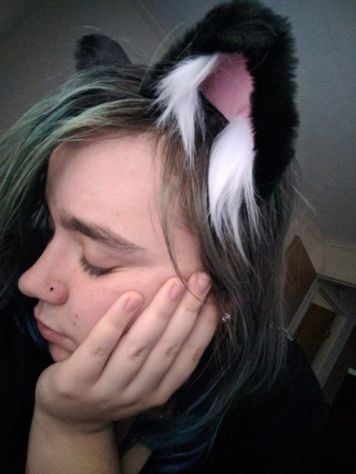smolestkittenprincess: My ears from @kittensplaypenshop came in today!!! I feel so cute and precious