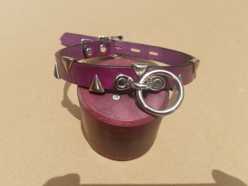 dominionleathershop:A customers order is complete.  A collar with teeth in Deep Violet with a 3 point tether with spring clips!