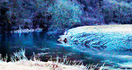 harrypottergif:  Deathly Hallows Part 1 + scenery