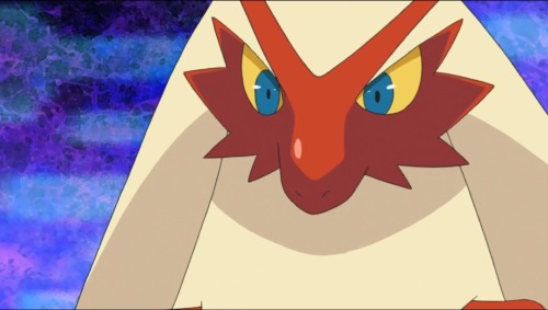 Thinking About That One Blaziken On That Cooking Show Who Refused To Eat Food Shaped Like Torchic