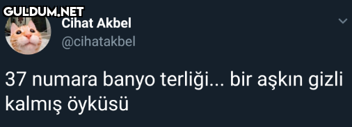 Cihat Akbel @cihatakbel 37...