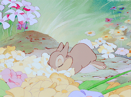 m3liros3:🐰🌸