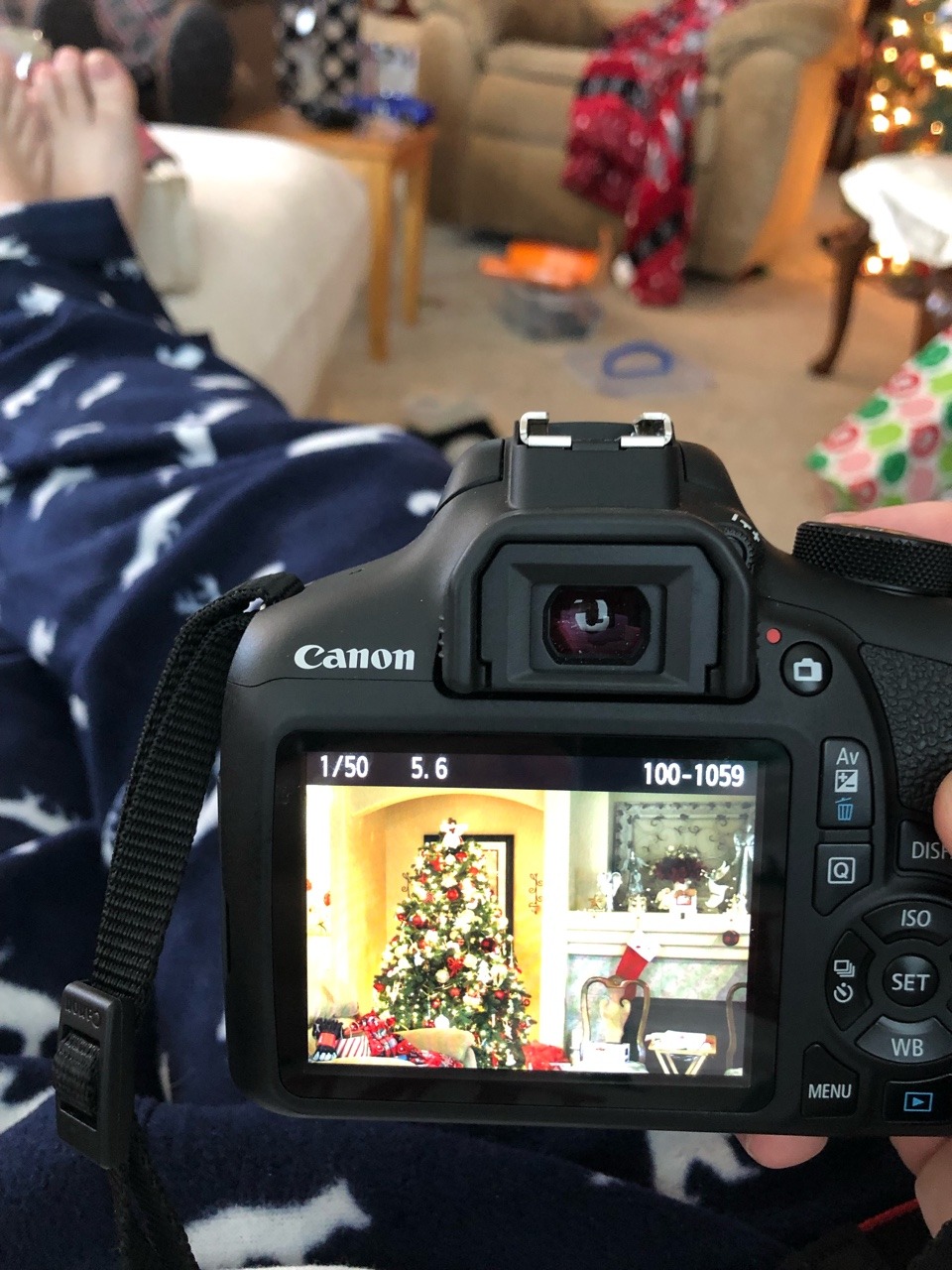 Merry Christmas ya filthy animals 🎄😊