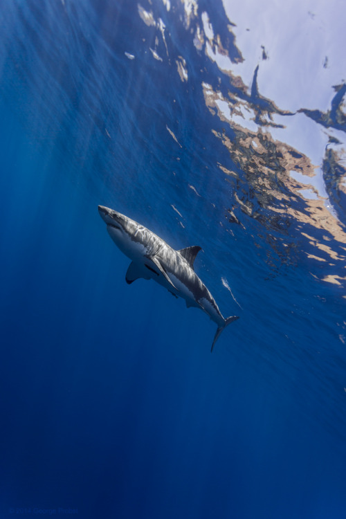 phantastrophe - Guadalupe, Mexico | Photographer -  George Probst