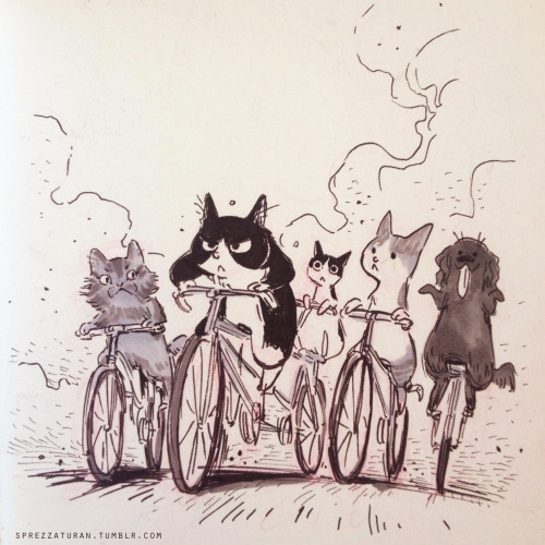 Ciclavia doodle, starring friends’ pets!