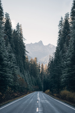 expressions-of-nature:  Untitled by Morgan Phillips 