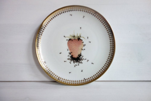 fer1972: More Vintage Porcelain with Handmade Painted Ants by LaPhilie