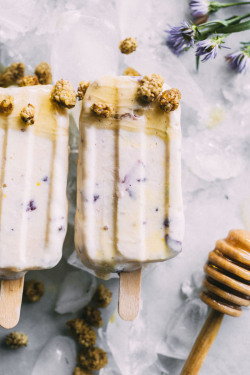 sweetoothgirl:    Lemon Ice Cream Pops  