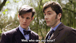 Fozmeadows:  Oywiththewaywardtardis:  Doctorwho:  Companions.  They Are So Insulted