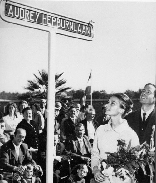 Audrey Hepburn and Mel Ferrer adming a street named in her honor at Doorn, Holland. It’ is called ‘A