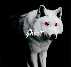 dreamofspring: got meme | ½ Creatures ◦ Direwolves Their voices echoed through