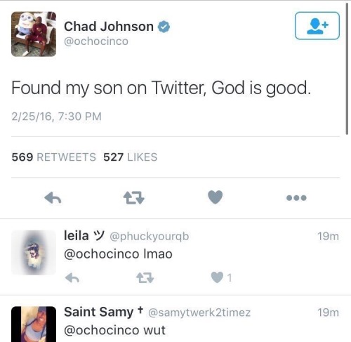 yourlocalweeknd:this is one of the funniest things i have ever seen