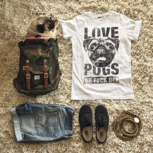 meetthepugs:  OUTFIT OF THE DAY 🙌🏼 #loulou #ootd #pug #lovepugsorfuckoff #meetthepugs #pet #fresh #fashion #streetwear #WeeklyFluff #instacute #carlin #carlino #cao #dog #chien #puglife #potd #perro #wheremyvansgo YOU LIKE THE SHIRT? GET IT NOW!