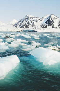 wnderlst:  Svalbard, Norway | Witek Kaszkin 