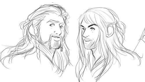 uncreativeart:  I was approached to do a sketch commission of Lady Dis (Thorin’s sister, Fili and Kili’s mother.) Loosely based off of a dozen other designs. I hope it’s satisfactory. I imagine she is where Kili got his good looks from. o//v//o