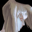hyphose