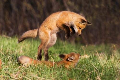 “WTF are you doing?”“Watch these hops”Photo byMircea Costina