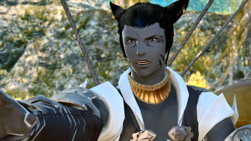 Thanks to @avashnea for informing me that boy miqo’te get the happy ear wiggle emote. So, naturally,