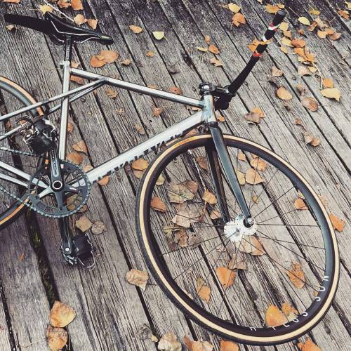 hizokucycles: #Repost from cyclist @balint.szabo797 - #naturephotography #photography #breakbrake17 