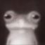 cheesefrogger